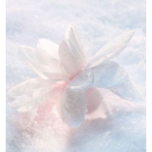 Diorsnow Esencja Lekkiego Serum