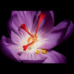 Lub Rouge La Creme Demaquillante