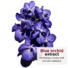 Olejek do pielęgnacji twarzy Blue Orchidea