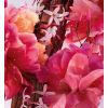 Perfumy Miss Dior