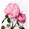 Esencja różana Miss Dior