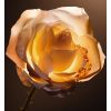 Uzupełnienie Dior Prestige Le Nectar Premier