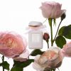 Woda toaletowa AERIN Rose de Grasse Pour Filles